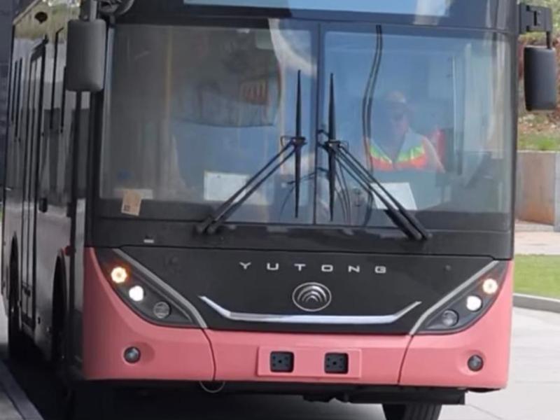 Platabús podría ofrecer transporte gratuito temporal en Zacatecas