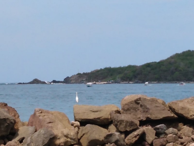 Playa Carey sin vigilancia pese a ser protegida