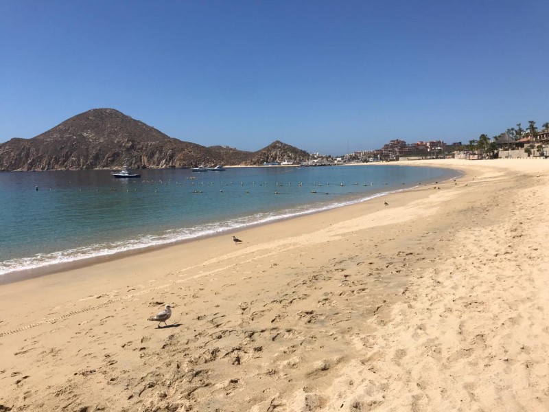 Prestadores continúan realizando procolos de seguridad para uso de playas