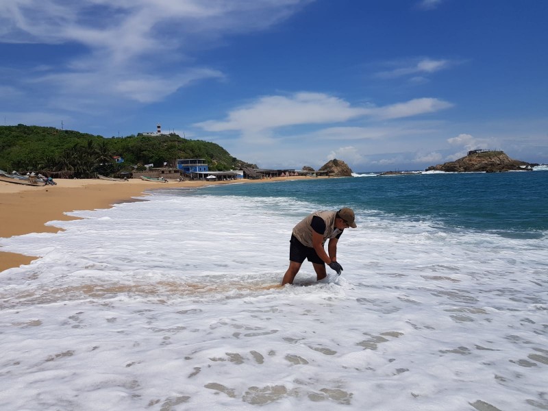 Playas michoacanas en óptimas condiciones para vacacionar