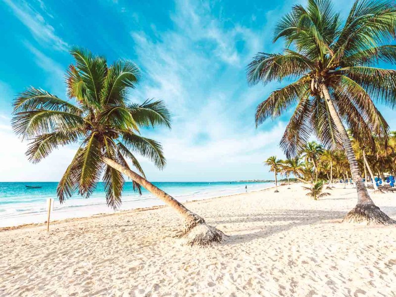 Playas MX: la app que revela la calidad de las playas