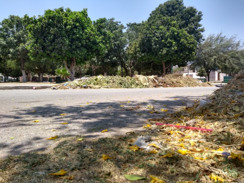 Plaza es usada como basurero en Torreón