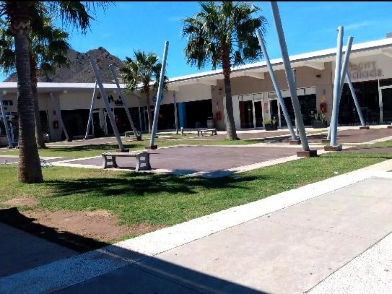 Plazas comerciales lucen en soledad