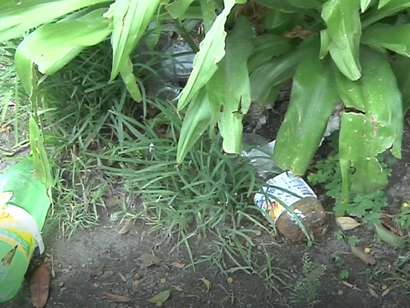 Plazuela San José, con exceso de basura