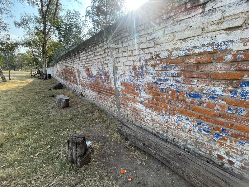 Preocupa a usuarios de la deportiva sur barda con riesgo de colapso