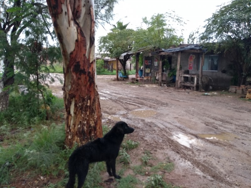 Laguna Durango con mayores índices de pobreza