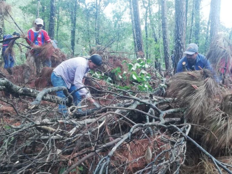 Pobladores de Cordón Grande, dan cátedra del cuidado de bosques