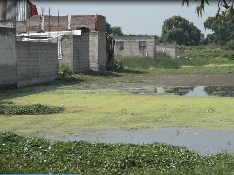 Pobladores de San Lucas Tunco en Metepec viven entre aguas