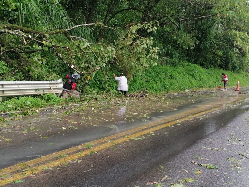 Pobladores de San Miguel Necaxa limpian carretera tras Grace