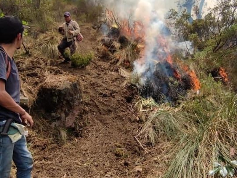 Pobladores estarían detrás de incendios como el registrado en Xico