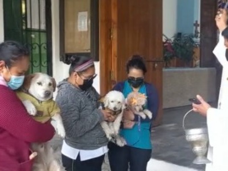 Poblanos acuden a bendecir a sus mascotas