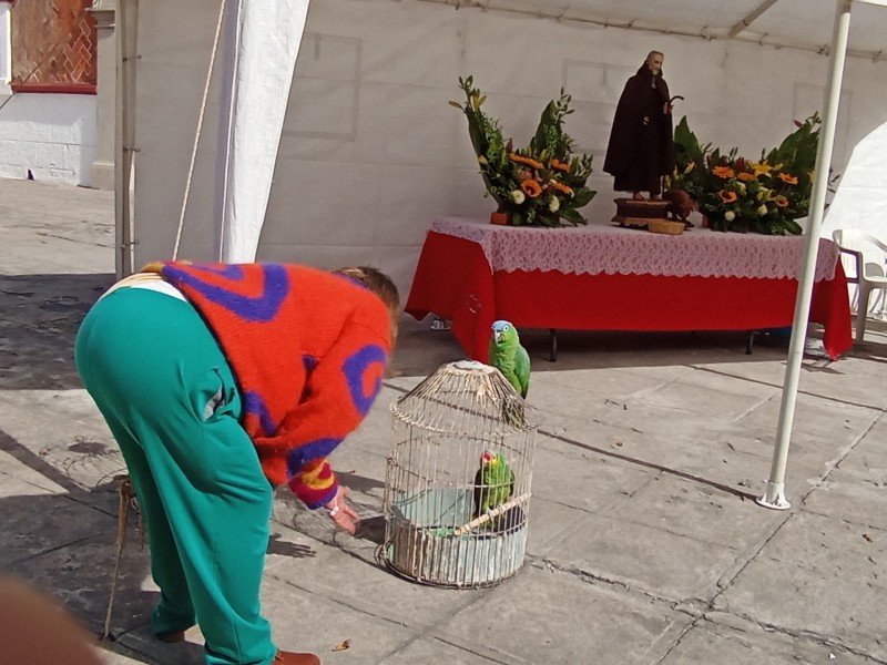 Poblanos llevan a bendecir a sus mascotas