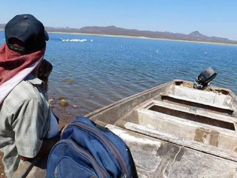 Poca pesca se registra en presa del Oviachic