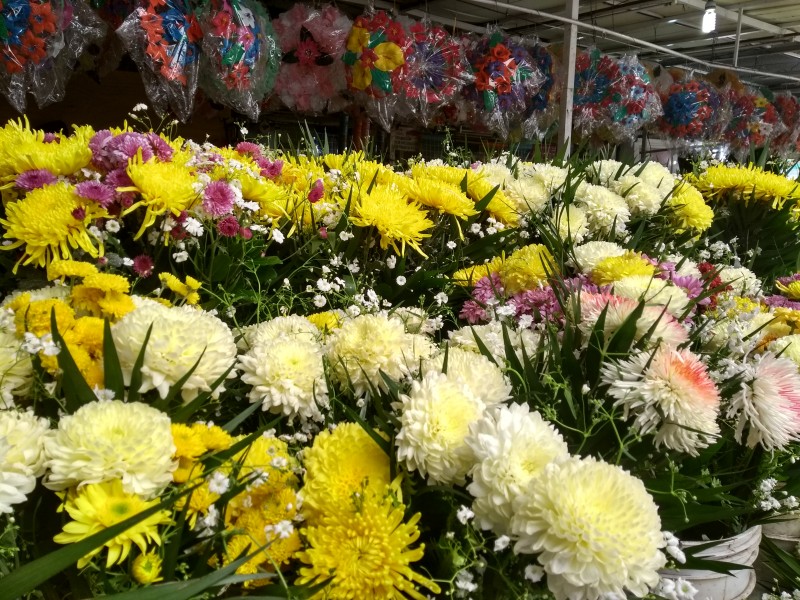 Poca venta de flores en Veracruz