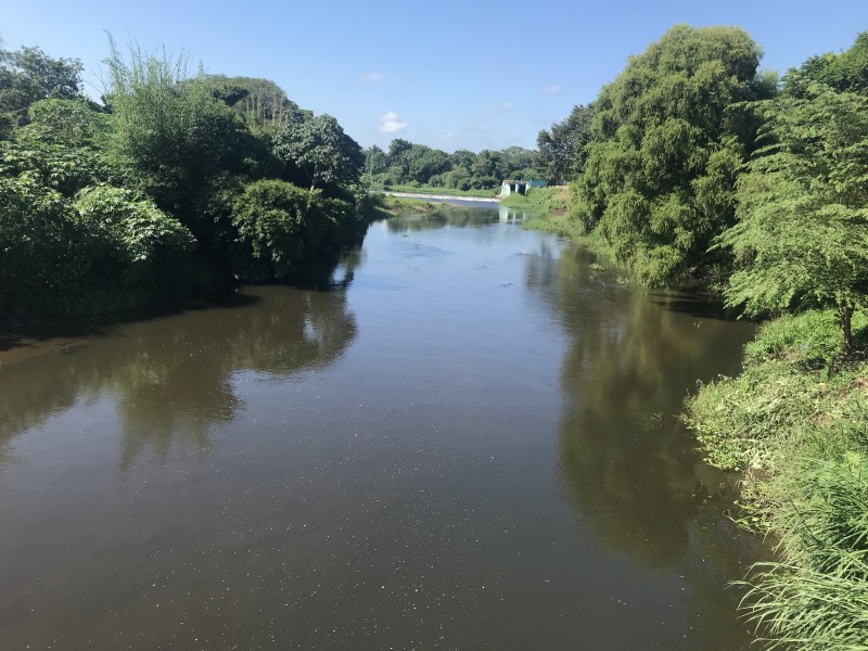 Poco a poco recupera su nivel el río Jamapa