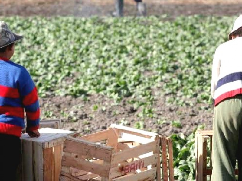 Poco avance para eliminar el trabajo infantil en México