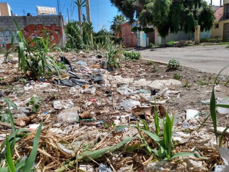 Podrá ayuntamiento limpiar lotes baldíos