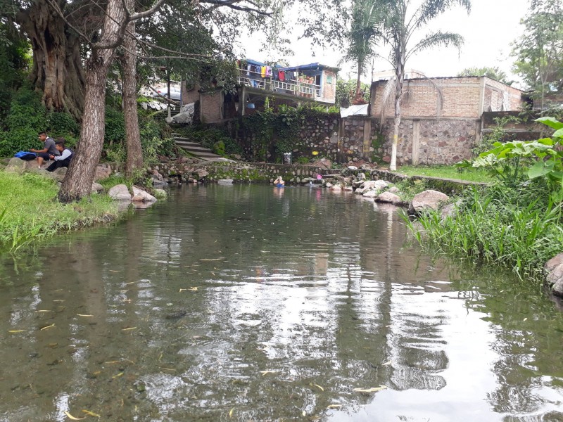 Podrían modificar el uso del área natural Pantanal