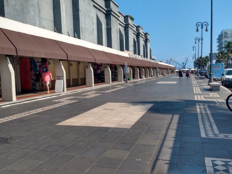 Podrían plantar 20 árboles en el malecón de Veracruz