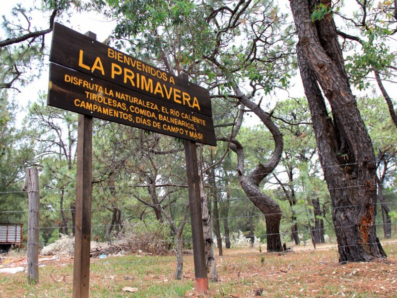 Podrían prohibir entrada al bosque La Primavera