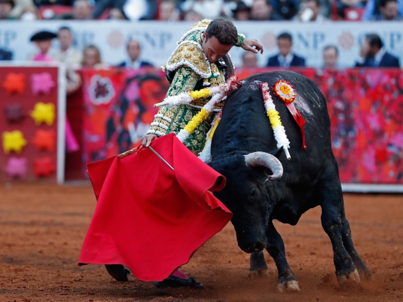 Podrían prohibir las corridas de toros en Nayarit