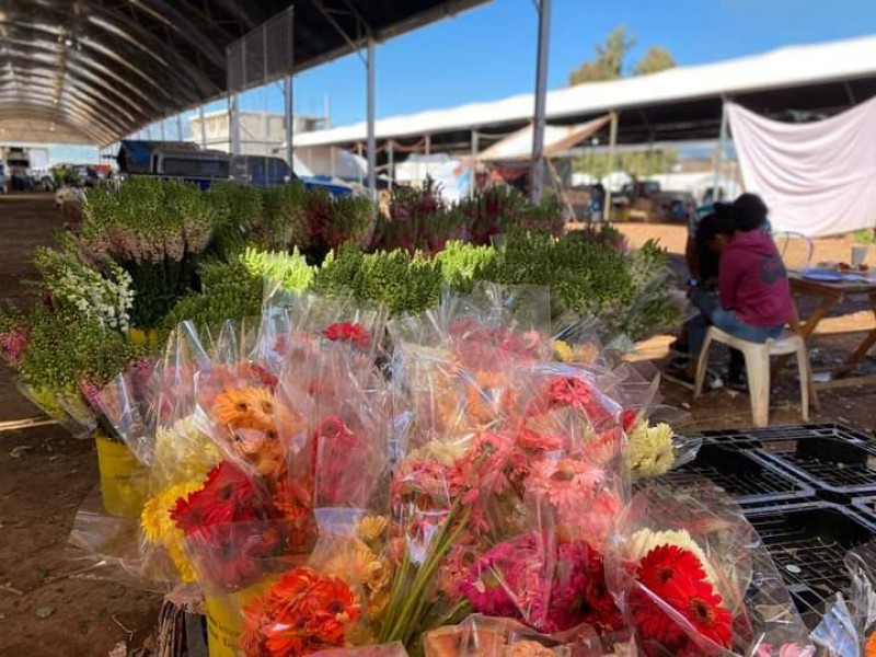 Podrían recuperar venta en febrero floricultores mexiquenses
