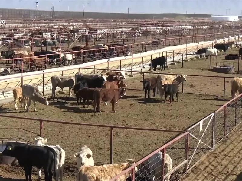 Podría reabrir la cuarentenaria de Nogales tras revisión