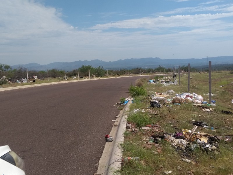 Pondrán letreros y amarrar a quién tire basura