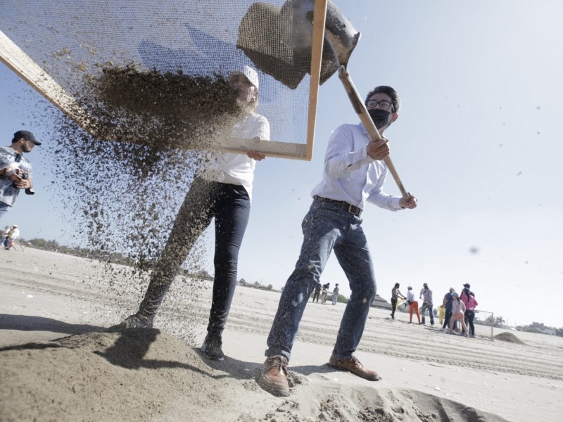 Ponen en marcha limpieza de microplásticos en playa Las Glorias