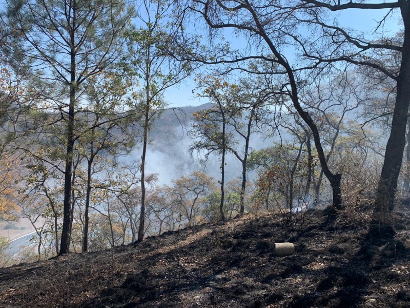 Por actividades ilícitas, 50% de incendios forestales en Michoacán