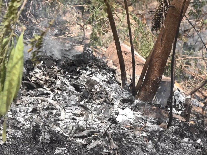 Por altas temperaturas, incendios al alza en Salina Cruz