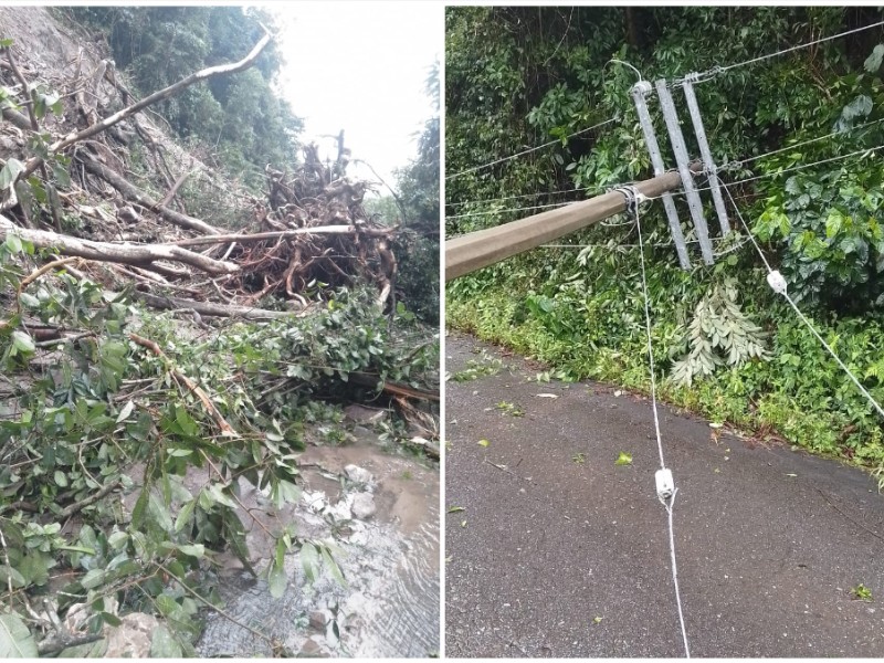 Por derrumbes cierran la carretera federal 175 tramo Valle Nacional–Oaxaca