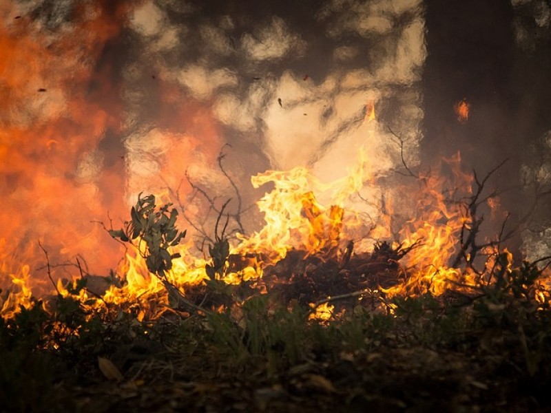 Por incendio piden desalojar Pinar de la Venta