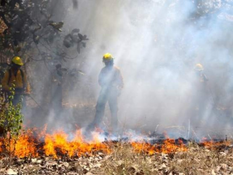 Por incendios forestales declaran emergencia para 5 municipios de Oaxaca