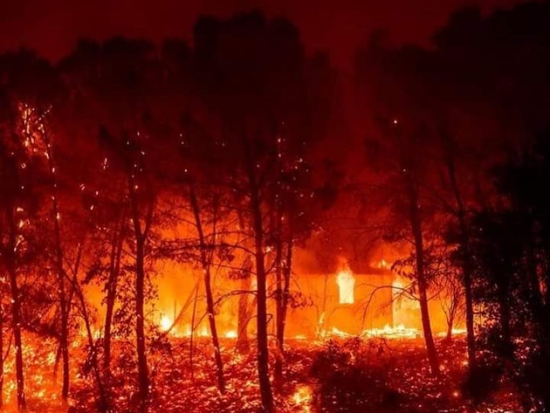 Por incendios forestales, evacuan a miles de personas