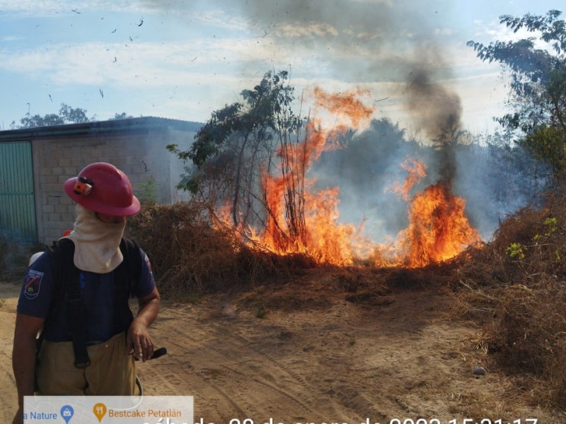 Por irresponsabilidad habitantes provocan incendio en Petatlán