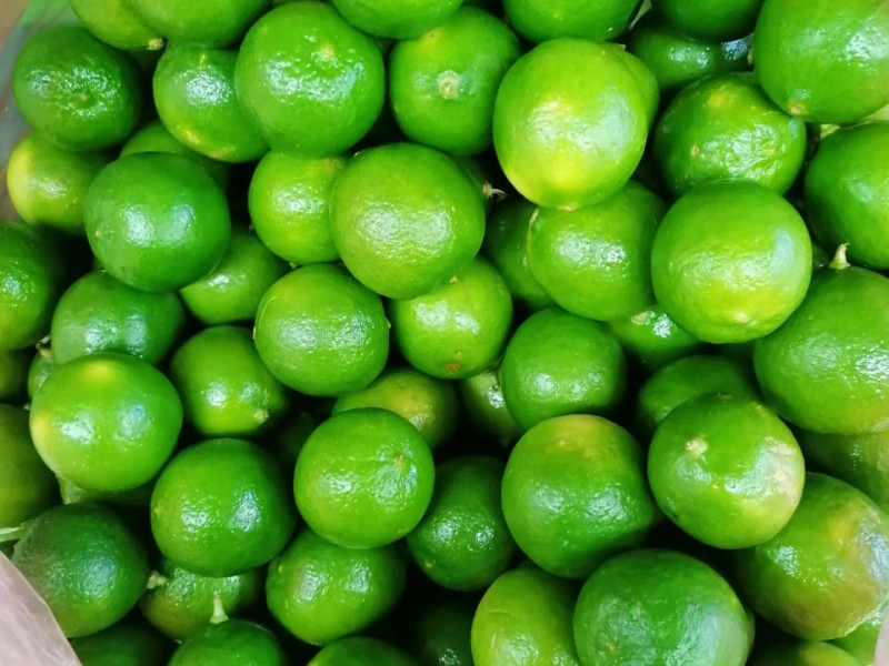 Por las nubes el precio del Aguacate y limón