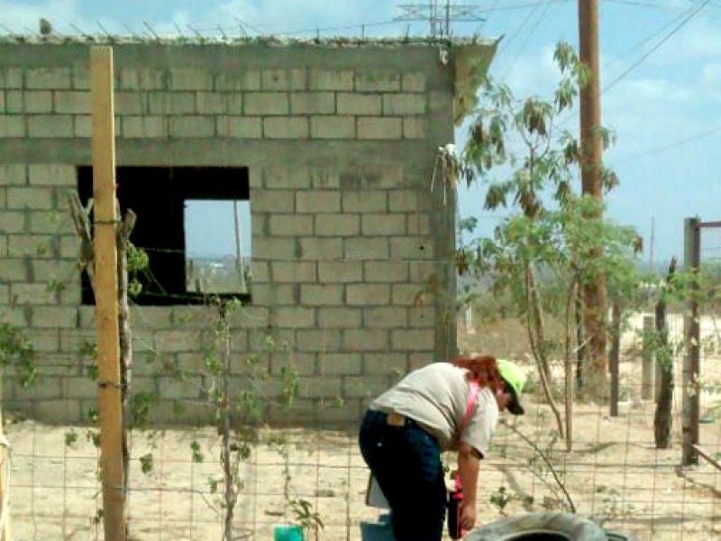 Por lluvias a eliminar criaderos de mosco