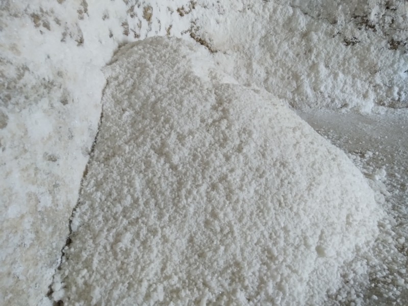 Por lluvias producción anual de sal será -40%, actividad detenida