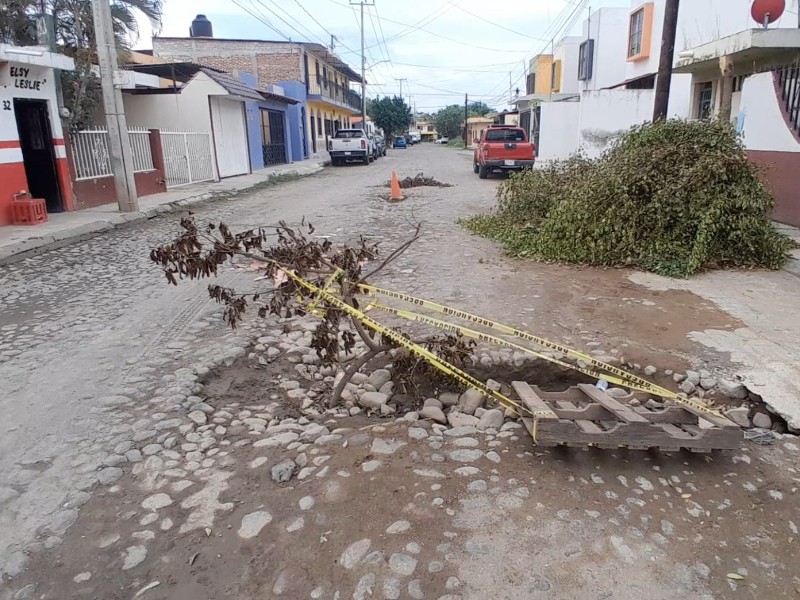Por mal trabajo de Ciapacov, se hunde calle Mariano Arista