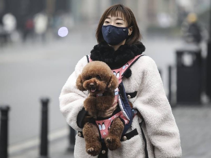 Por miedo de contagio de Covid-19 donan perros