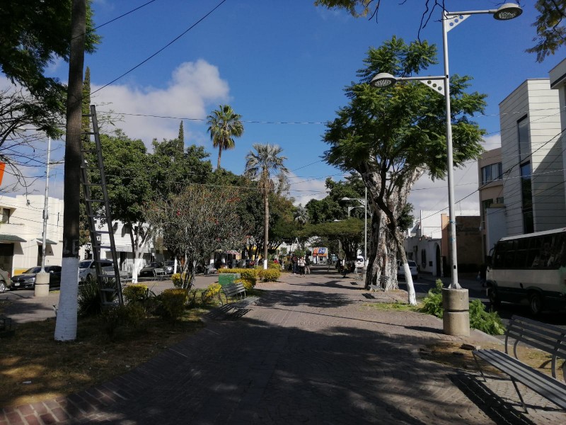 Por negligencia municipal, Paseo Hidalgo podría ser Área Natural Protegida