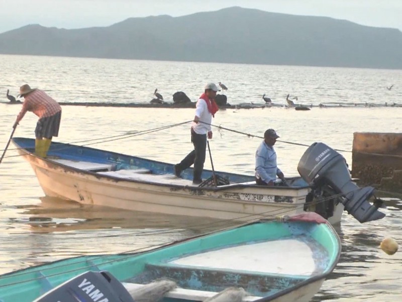 Cooperativas pesqueras por adeudos podrían quedarse sin IMSS