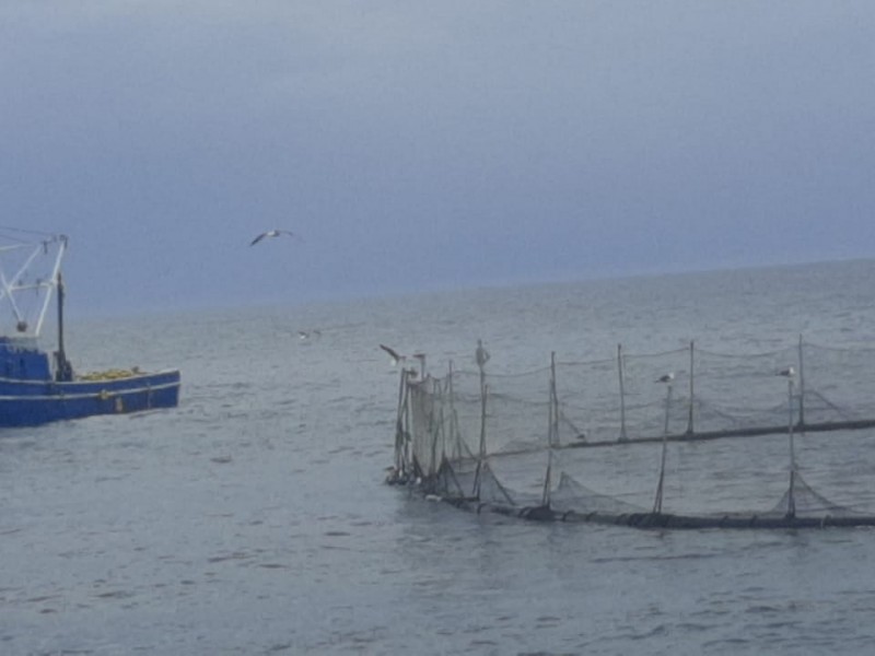 Por semáforo rojo, prohíben navegación de embarcaciones  en Topolobampo