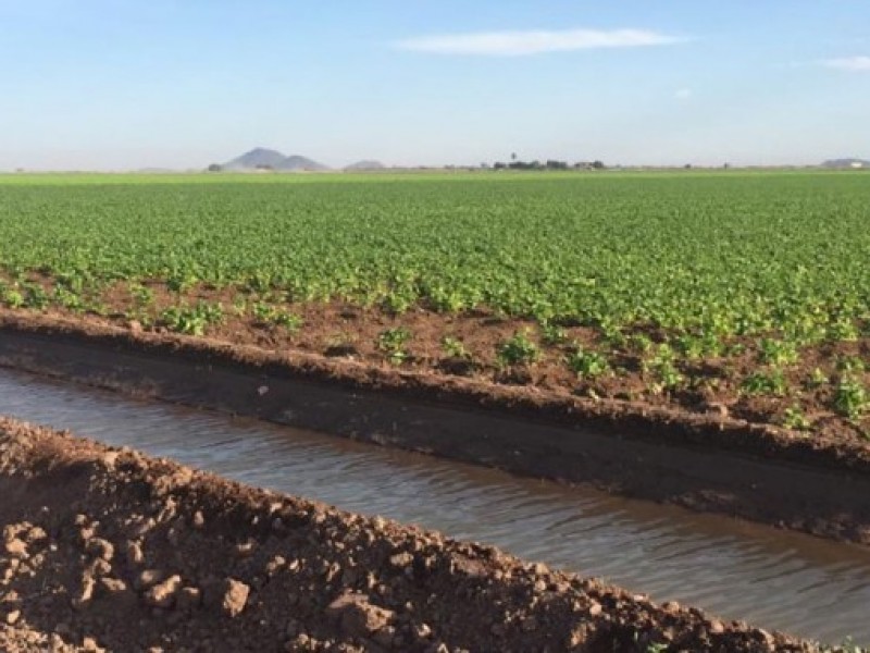 Por sequia, sube el costo del agua agrícola 50%