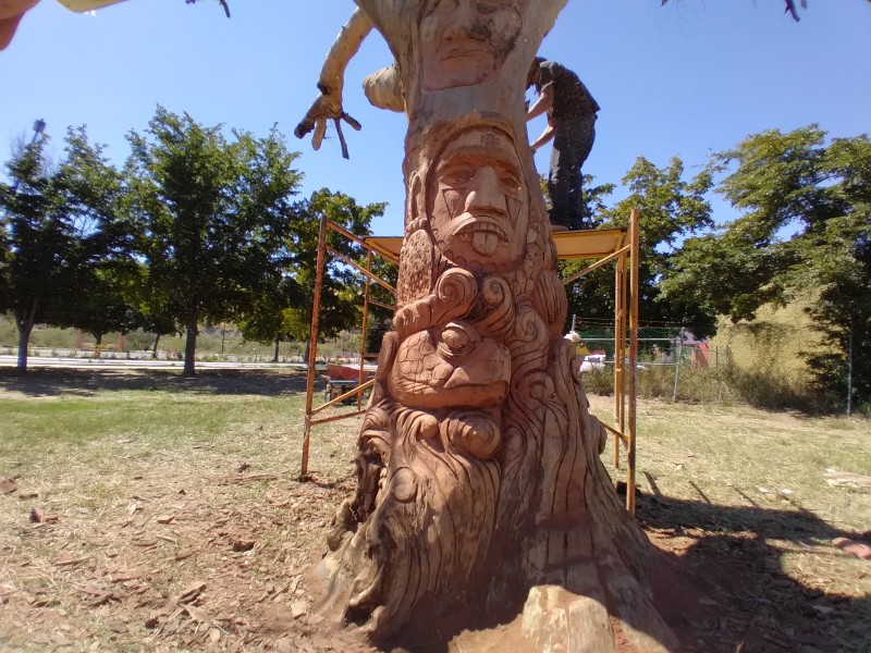 Por terminar escultura en árbol son símbolos de etnias sonorenses