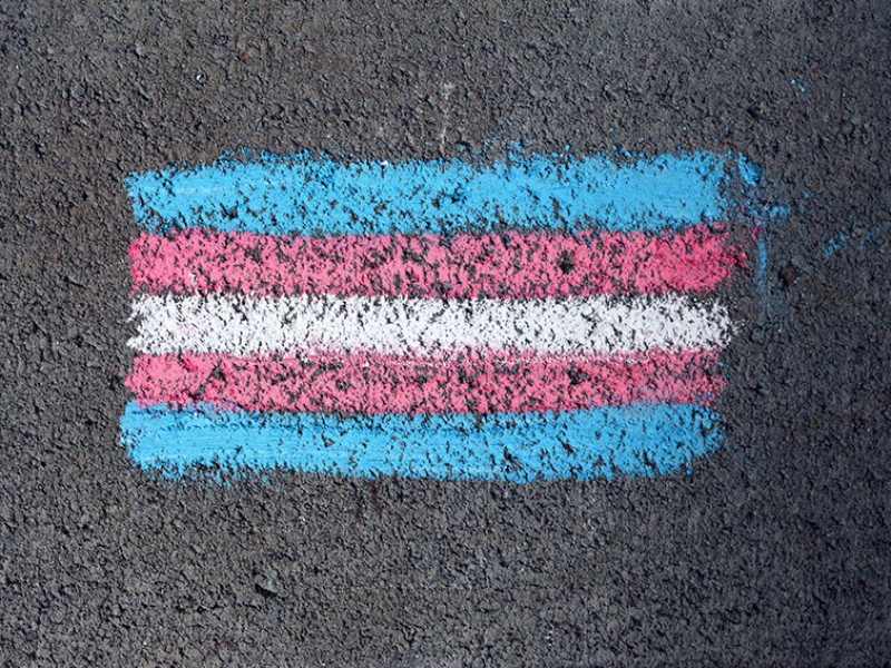 Por transfobia Secretaria de Igualdad sustantiva pedirá disculpa pública