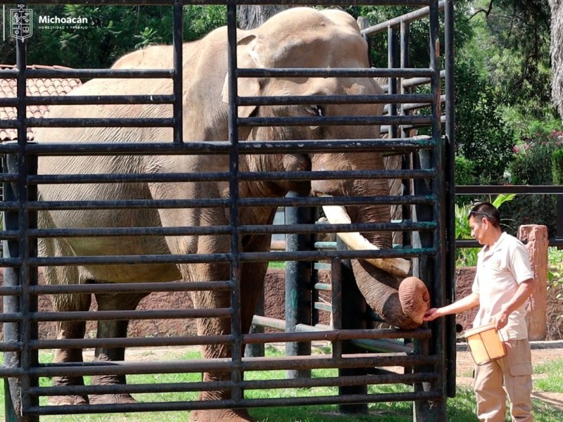 Por vacaciones Zoológico de Morelia extiende su horario