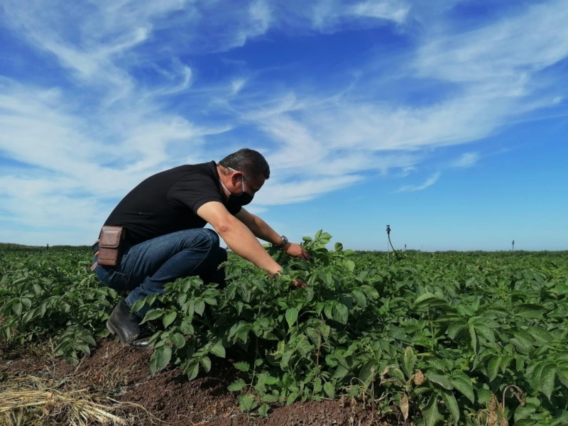 Porque la agroindustria no para, SEFERSSA estará presente en ExpoCeres