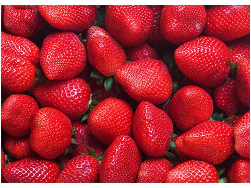 Posible contaminación de hepatitis A en fresas importadas de BC
